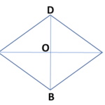 Rhombus